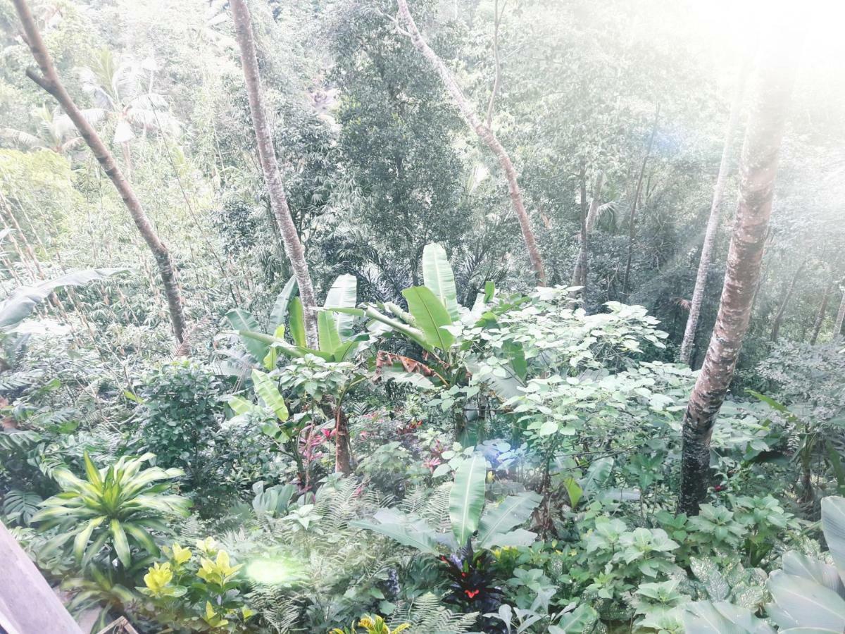 Ubud River Side House Hotel Екстериор снимка
