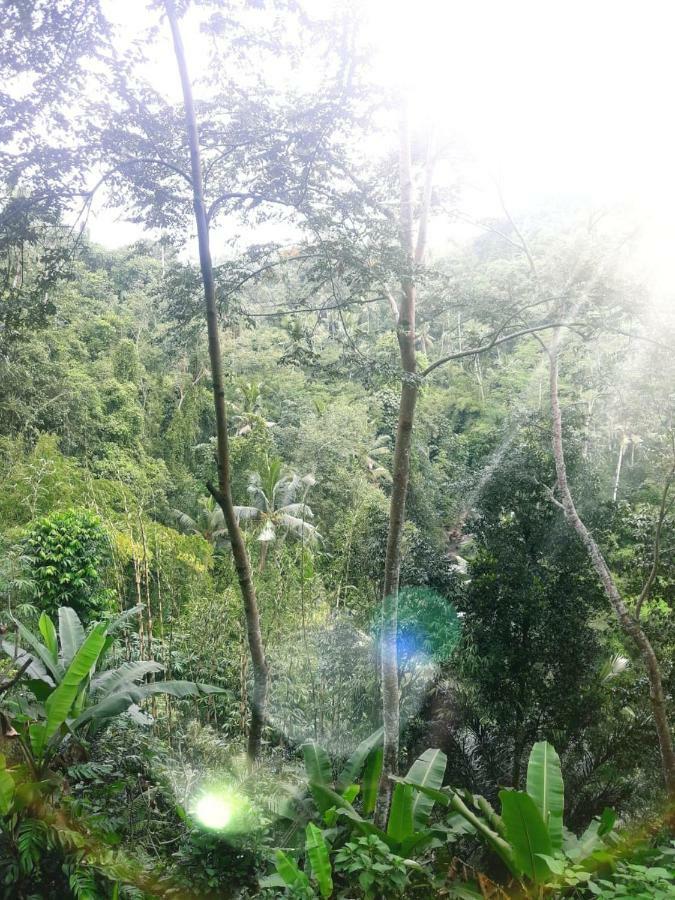 Ubud River Side House Hotel Екстериор снимка